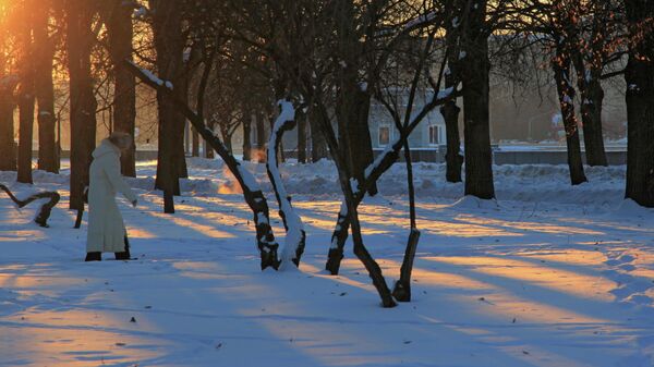 Зима в Москве. 2010 год
