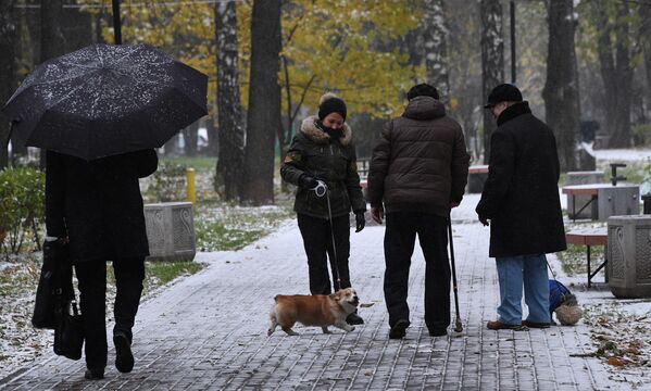 Люди выгуливают собак в одном из парков в Москве. 2016 год