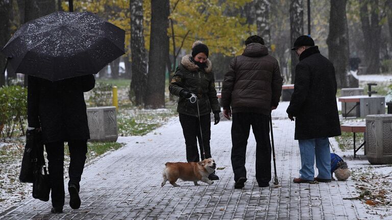 Люди выгуливают собак в одном из парков в Москве. 2016 год