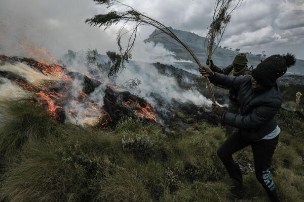 Люди пытаются остановить распространение пожара в национальном парке Абердэр в Кении