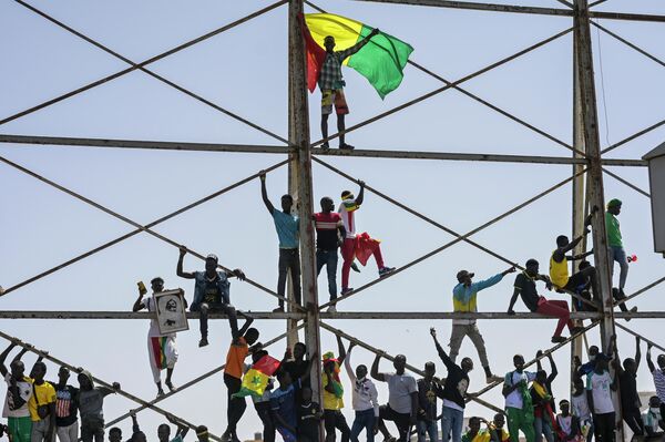 Сенегальские футбольные болельщики празднуют возвращение своей национальной сборной в Дакаре