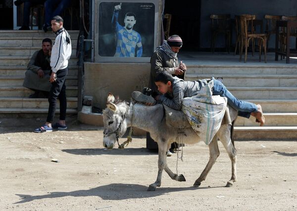 Мальчик едет на своем осле в деревне на окраине Каира