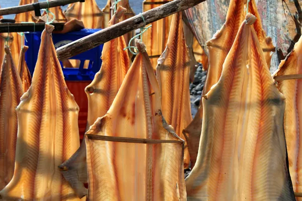 Сушка рыбы в Португалии