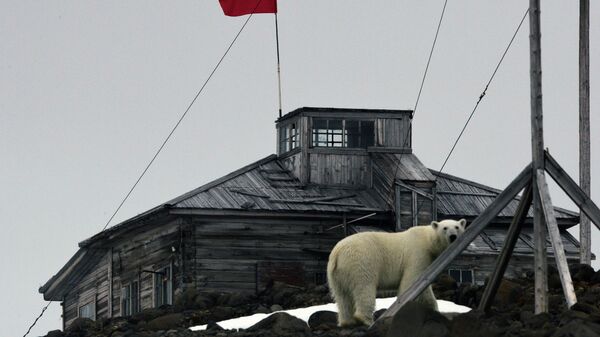 Белый медведь на территории полярной станции