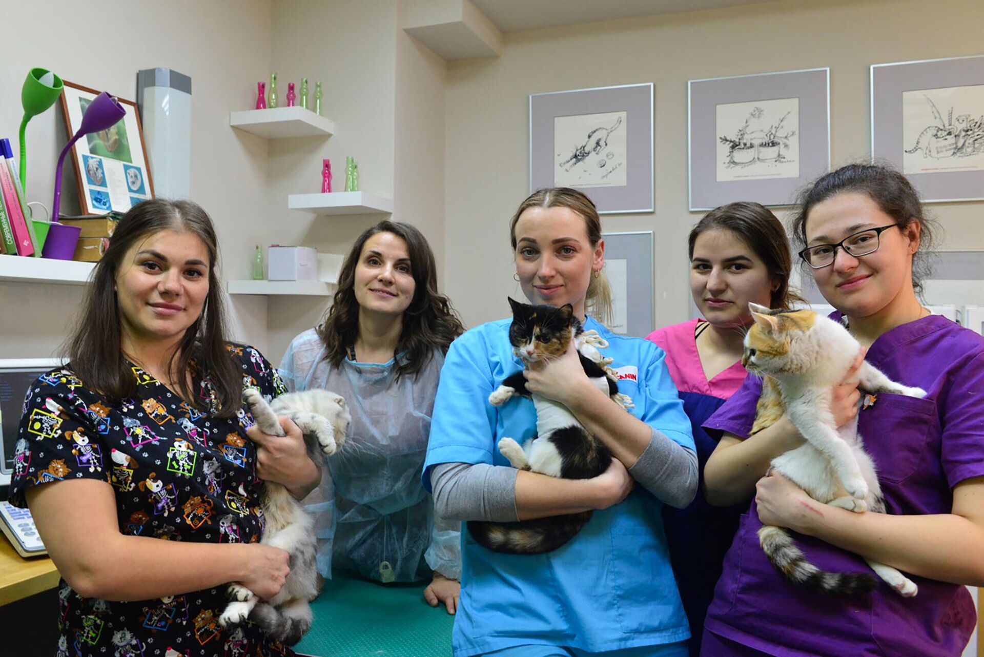 Ветеринарный врач Анна Кондратьева с коллегами в день проведения акции SpayDay
  - РИА Новости, 1920, 14.02.2022