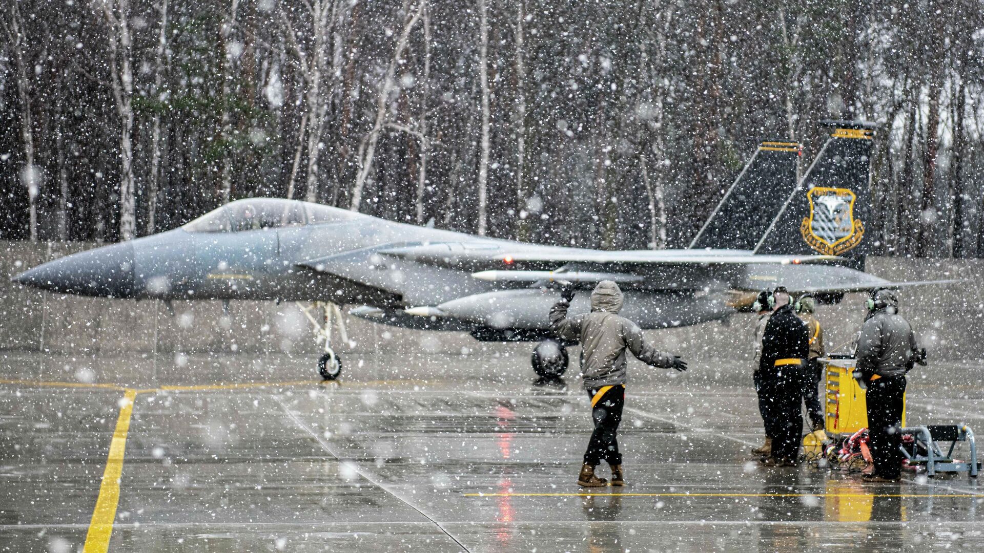 Истребитель F-15C Eagle ВВС США на авиабазе в городе Ласк, Польша - РИА Новости, 1920, 31.01.2024