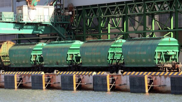 Грузовые контейнеры с продукцией Беларуськалия в порту Клайпеды, Литва 
