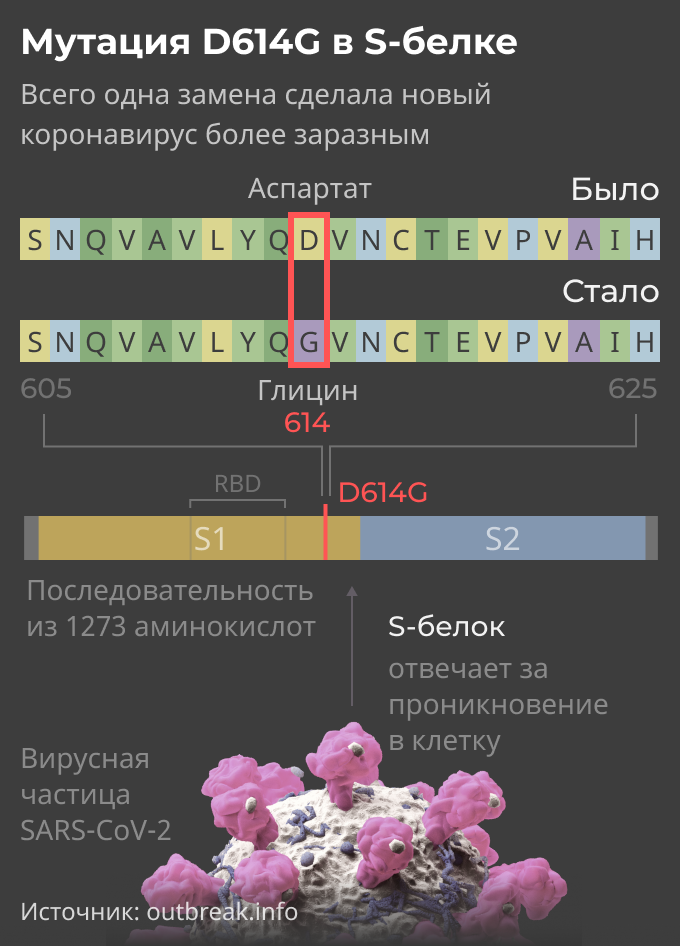 Что означает коронавирус
