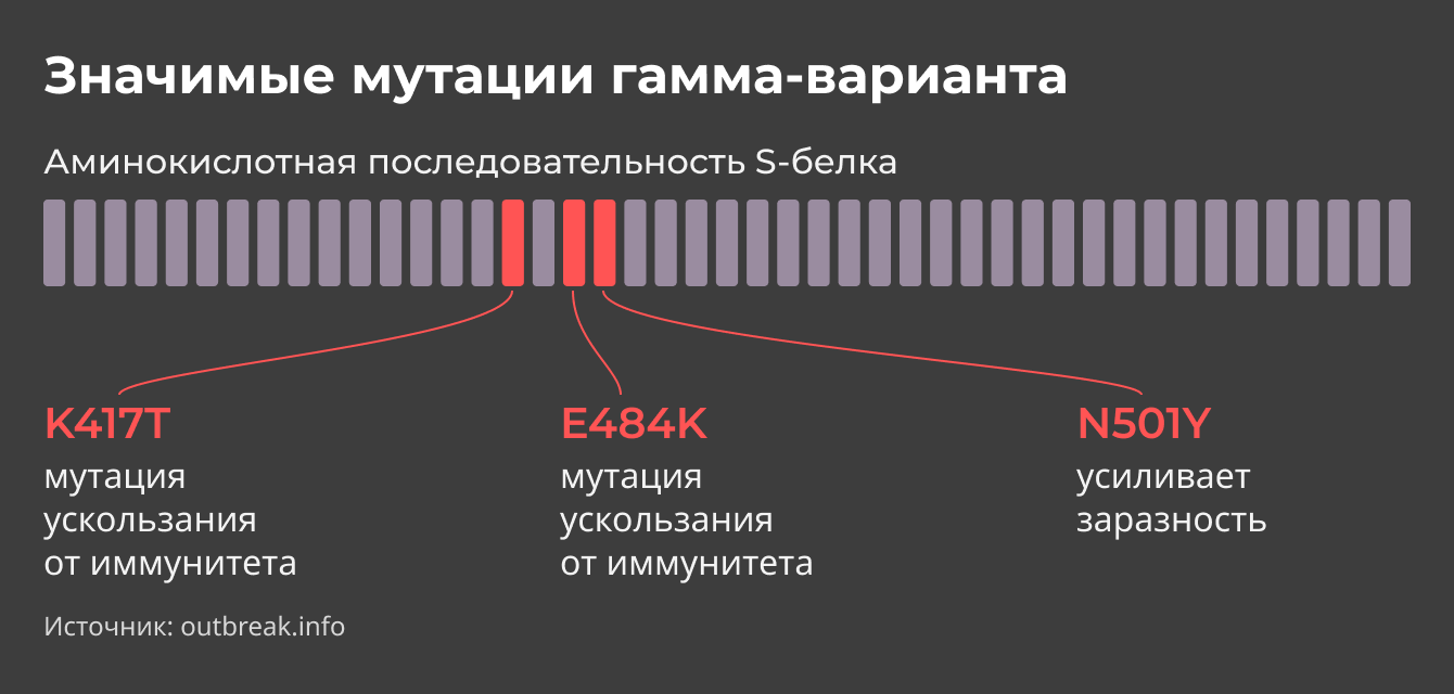 Значимые мутации гамма-варианта