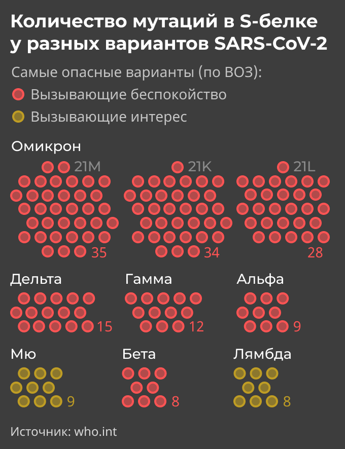 Количество мутаций в S-белке у разных вариантов SARS-CoV-2 Количество мутаций в S-белке у разных вариантов SARS-CoV-2