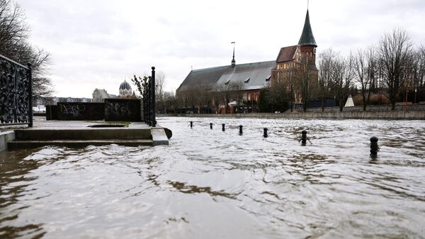 Уровень реки Преголи поднялся в результате непогоды в Калининграде