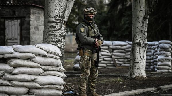 Украинский военный в Донецкой области