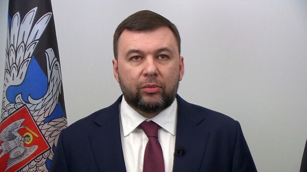 Пушилин попросил признать независимость ДНР