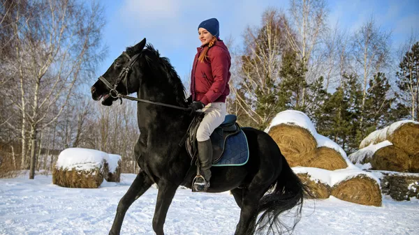 The girl rides a horse. Horse riding in the Rusichi club near Tomsk is available all year round