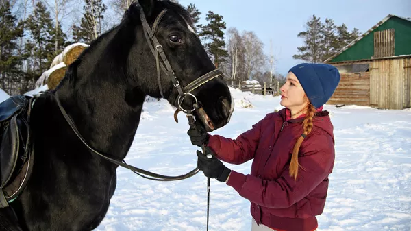 Equestrian club Rusichi in the suburbs of Tomsk