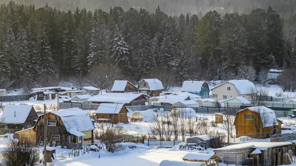 Voronovo village surrounded by cedar forest