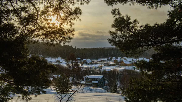 The village of Voronovo in the Tomsk region. The village is surrounded by a cedar forest