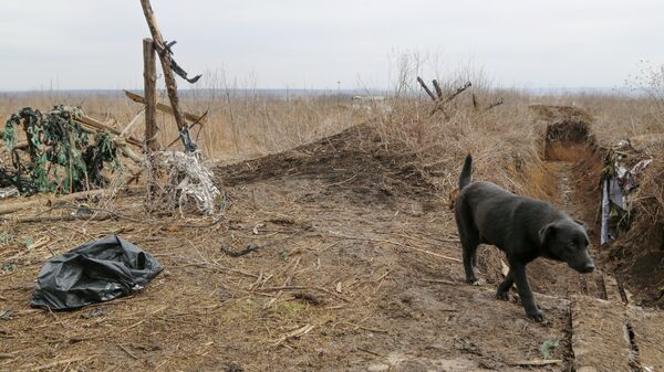 Бывшие позиции украинских войск в районе села Николаевка