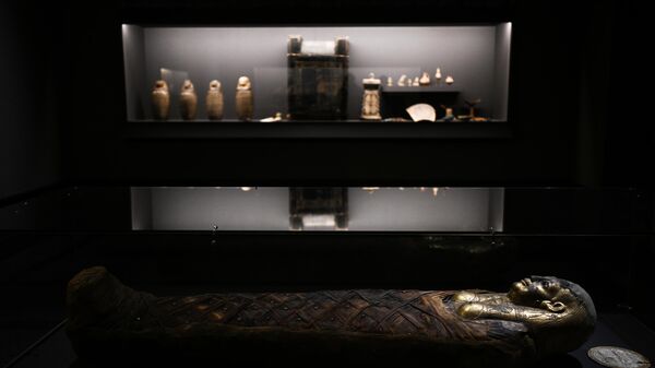 Экспонаты, представленные на выставке Мумии Древнего Египта. Искусство бессмертия