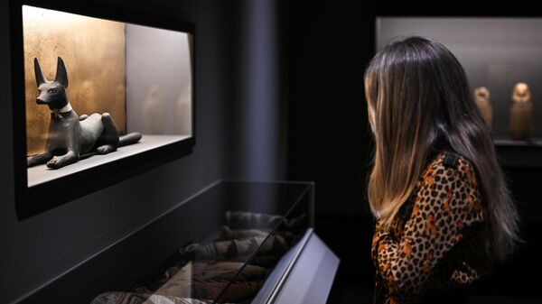 Посетительница на выставке Мумии Древнего Египта. Искусство бессмертия