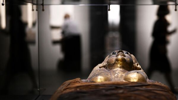 Экспонат, представленный на выставке Мумии Древнего Египта. Искусство бессмертия