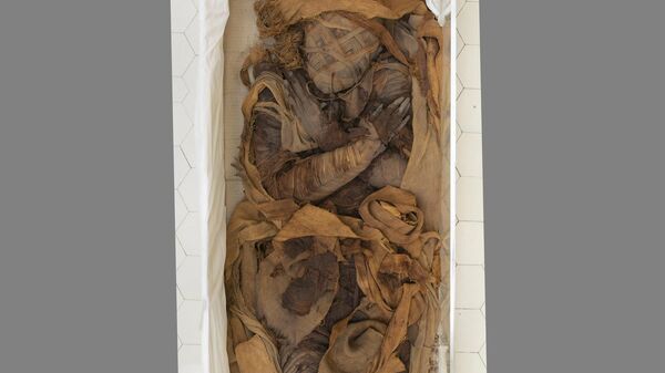 Саркофаг мумиеобразный египтянки Ташет; мумия мужчины. Египет, Ахмим (?). III–I века до н.э.