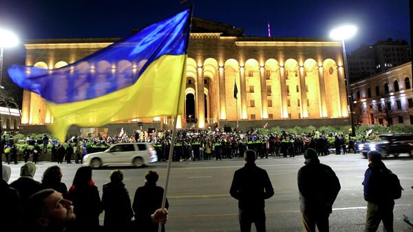 Демонстранты размахивают украинским флагом перед парламентом Грузии во время акции протеста в Тбилиси