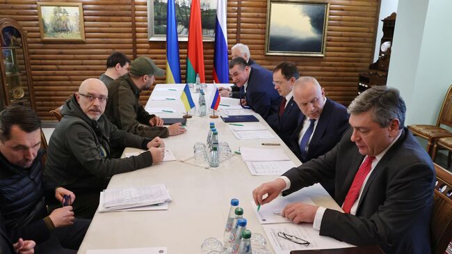 Члены делегаций на российско-украинских переговорах в Белоруссии