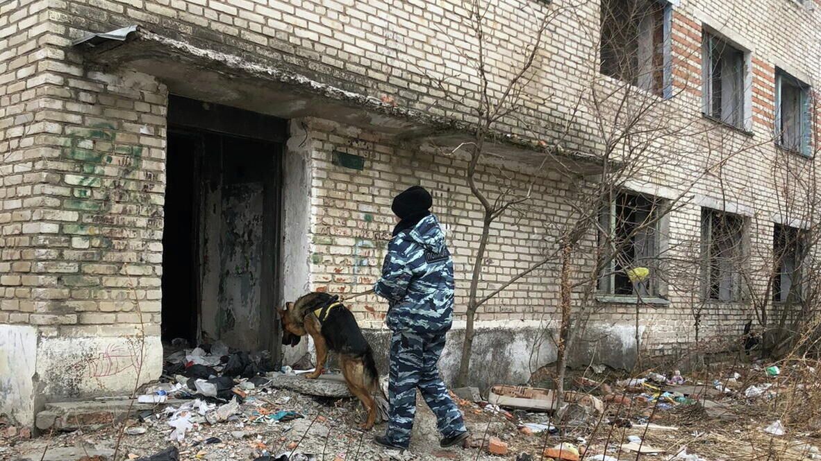 Поиски пропавшего мальчика в городе Находка Приморского края - РИА Новости, 1920, 04.03.2022