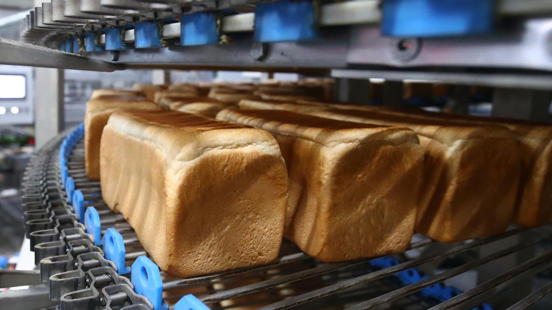Производство тостового хлеба - РИА Новости, 1920, 27.10.2022