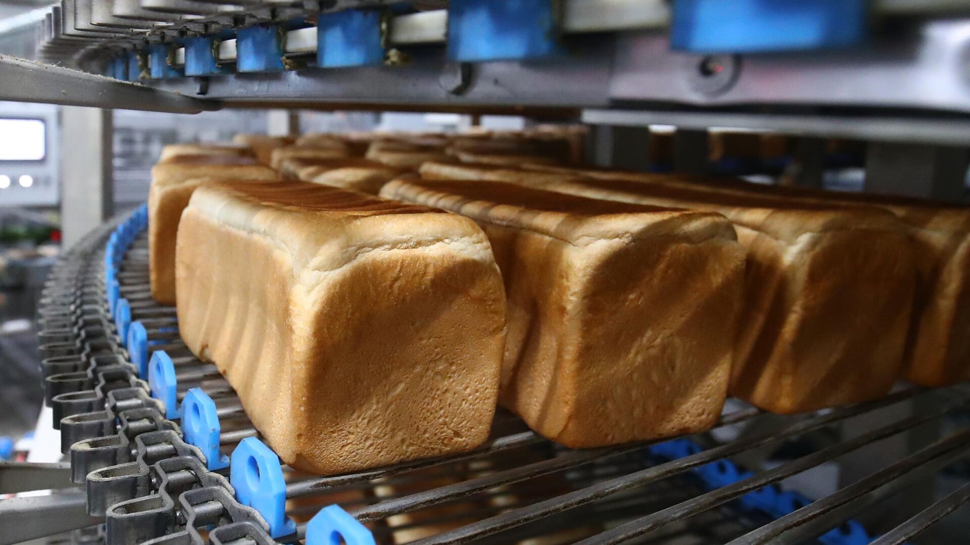 Производство тостового хлеба - РИА Новости, 1920, 27.10.2022