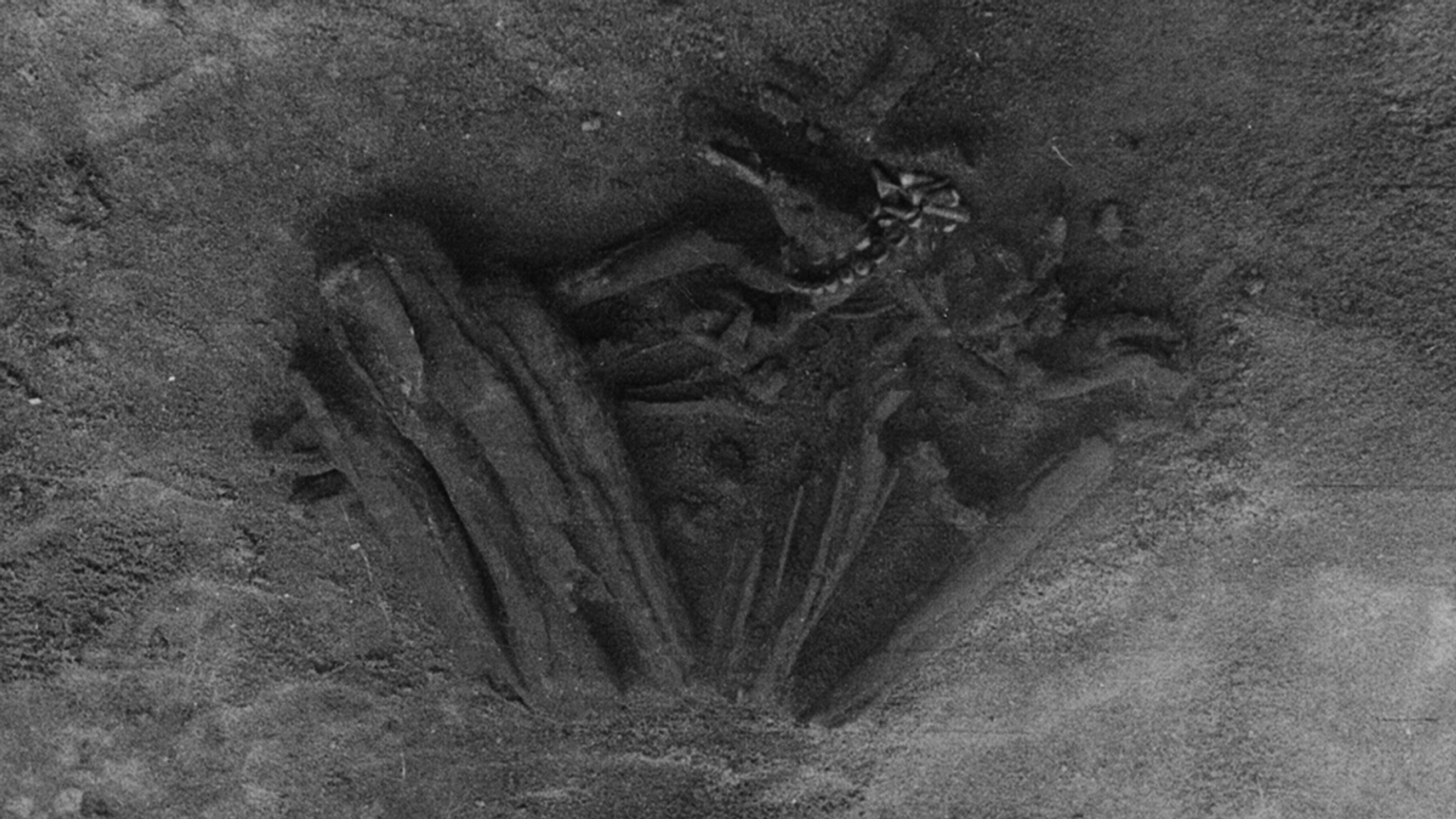 Мумии, найденные в Португалии в 1960-1962 годах - РИА Новости, 1920, 05.03.2022