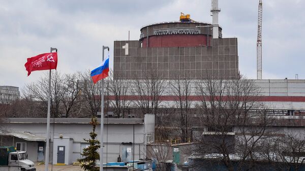 Запорожская атомная электростанция, расположенная в степной зоне на берегу Каховского водохранилища в городе Энергодар