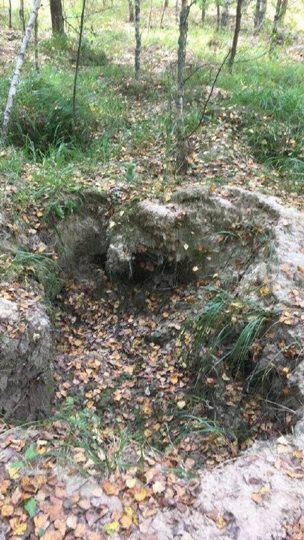 Разграбленный археологический памятник Разграбленный археологический памятник