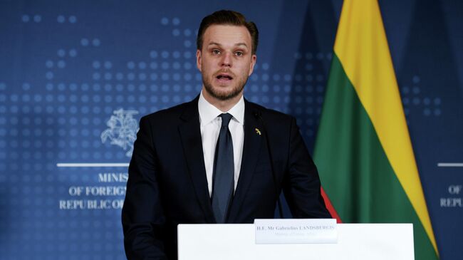 Министр иностранных дел Литвы Габриэлюс Ландсбергис. Архивное фото