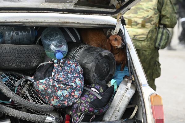 Собака в багажнике автомобиля беженцев покидающих Мариуполь