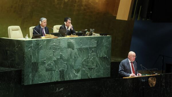 Постпред РФ при ООН Василий Небензя на специальной сессии Генассамблеи