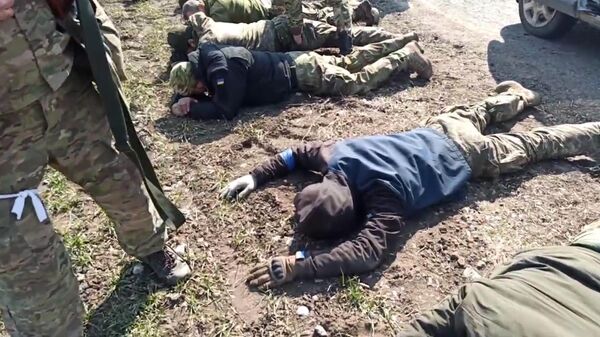Задержание украинской диверсионной группы под Мариуполем