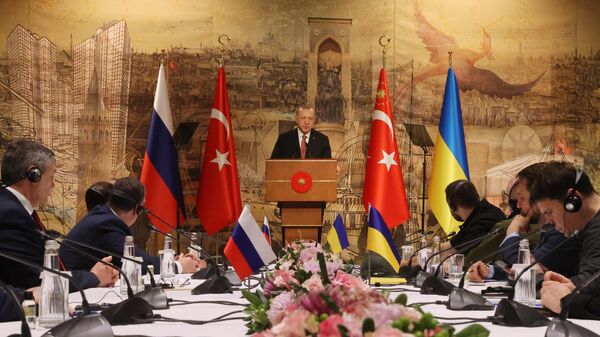 Президент Турции Реджеп Тайип Эрдоган выступает на российско-украинских переговорах во дворце Долмабахче в Стамбуле