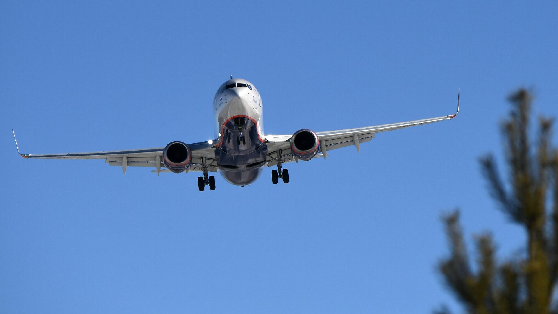 Самолет Boeing-737-800 авиакомпании Аэрофлот - РИА Новости, 1920, 18.04.2022