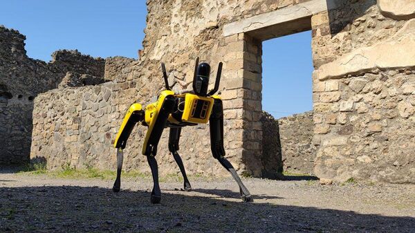 Робот в археологическом парке Помпеи