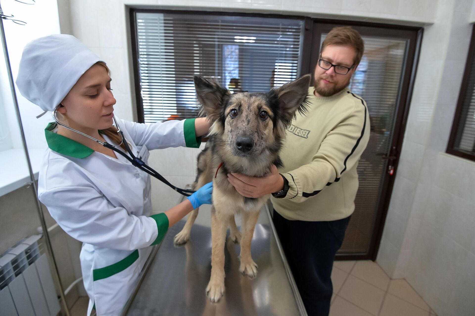 Посетитель с собакой на приеме в ветеринарном центре - РИА Новости, 1920, 30.03.2022