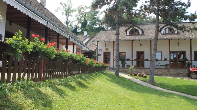 Винодельня в городе Сремски-Карловци в Сербии Винодельня в городе Сремски-Карловци в Сербии