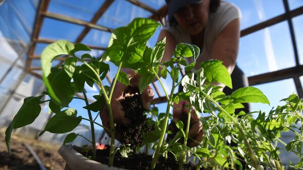 Женщина обрабатывает растение на своем дачном участке