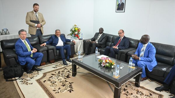 Президент Татарстана Рустам Минниханов на встрече с делегацией Гамбии