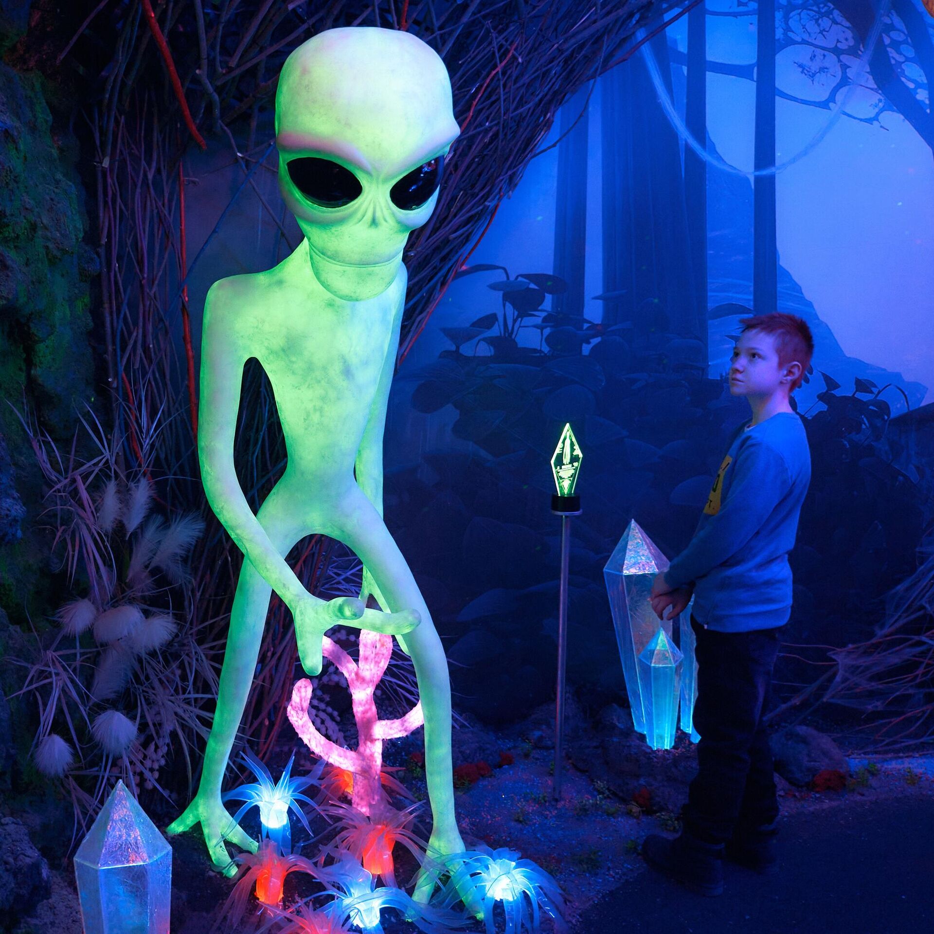 «Инопланетяне здесь»: любитель уфологии из Стэнфорда рассказал о пришельцах на Земле
