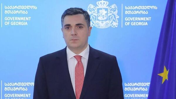 Государственный деятель Грузии Илья Дарчиашвили