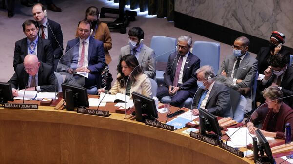 Постпред РФ при ООН Василий Небензя выступает на заседании СБ ООН по Украине