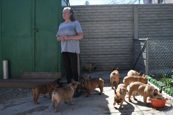 Заводчица питомника французских бульдогов Viva Vita Виктория Бобырь, которой доставили в рамках гуманитарной помощи корм для животных, в Луганске