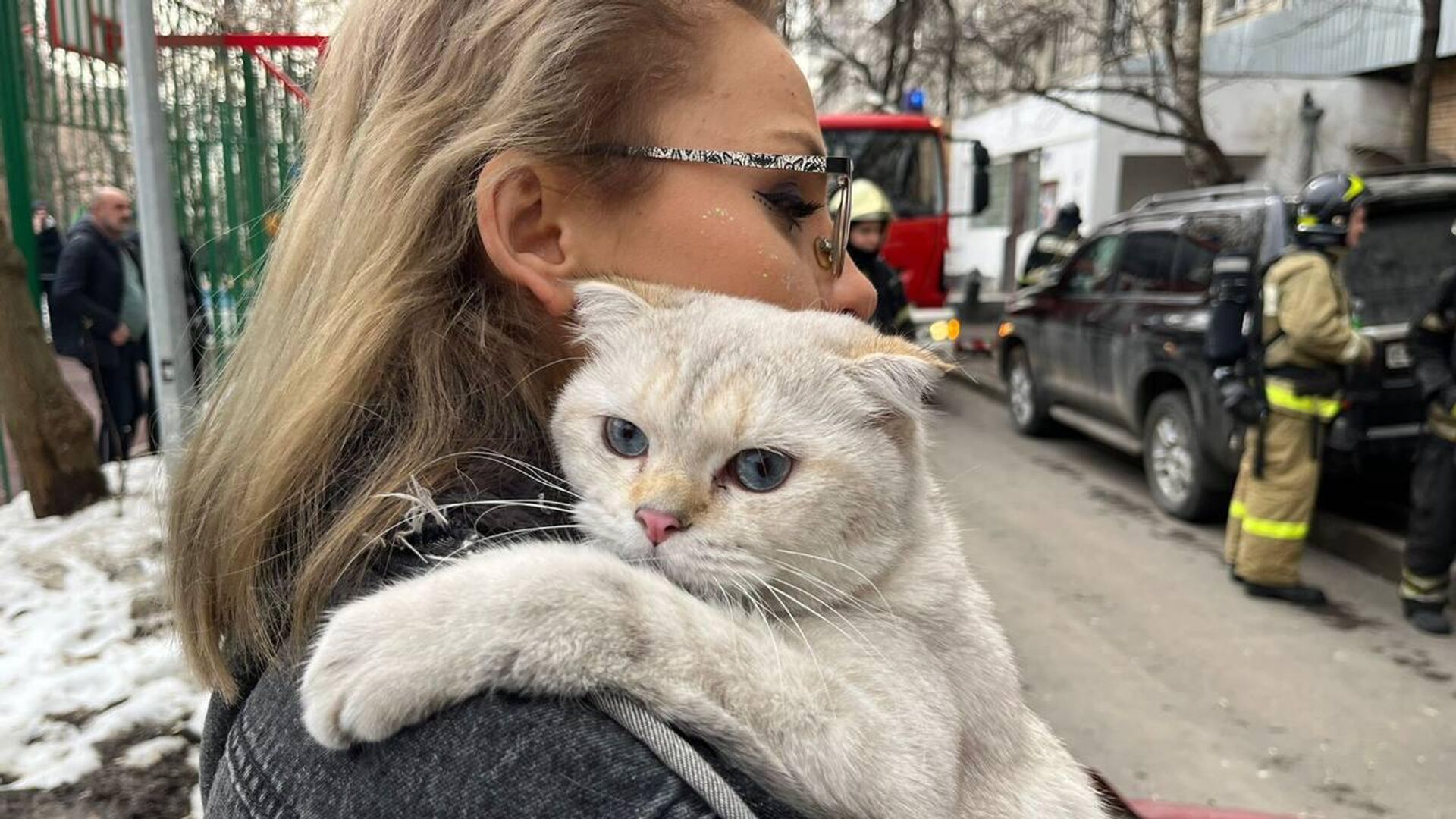 Из горящего здания бизнес-центра на западе Москвы спасли семь кошек - РИА  Новости, 03.06.2022